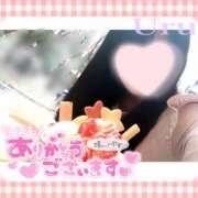 ヒメ日記 2026/02/16 14:12 投稿 うる 丸妻 横浜本店