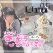 ヒメ日記 2026/02/24 01:47 投稿 うる 丸妻 横浜本店