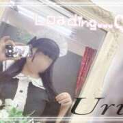 ヒメ日記 2026/02/27 13:10 投稿 うる 丸妻 横浜本店