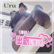 ヒメ日記 2026/03/16 14:05 投稿 うる 丸妻 横浜本店