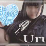 ヒメ日記 2026/03/16 15:05 投稿 うる 丸妻 横浜本店