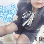 ヒメ日記 2026/03/20 17:03 投稿 うる 丸妻 横浜本店