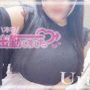 ヒメ日記 2026/04/05 13:32 投稿 うる 丸妻 横浜本店