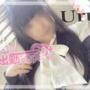 ヒメ日記 2026/04/06 16:03 投稿 うる 丸妻 横浜本店