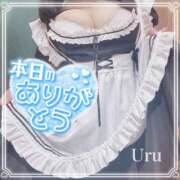 ヒメ日記 2026/04/13 16:00 投稿 うる 丸妻 横浜本店