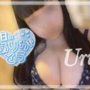 ヒメ日記 2026/08/20 17:34 投稿 うる 丸妻 横浜本店