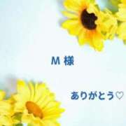 ヒメ日記 2026/08/22 02:59 投稿 夏川 奈々 こあくまな熟女たち 千葉店（KOAKUMAグループ）