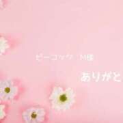 ヒメ日記 2026/09/15 15:48 投稿 夏川 奈々 こあくまな熟女たち 千葉店（KOAKUMAグループ）