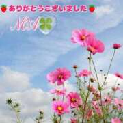 ヒメ日記 2025/10/14 21:10 投稿 のあ 人妻洗体倶楽部