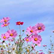 佐藤 美奈 初めまして🎶 熟女パラダイス鶯谷店(カサブランカグループ)