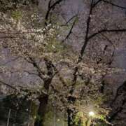 ヒメ日記 2026/04/05 00:06 投稿 ふうり しこたまッ！～コスプレ×恋愛～