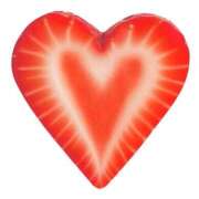 ヒメ日記 2025/11/21 14:19 投稿 かごめ スピードエコ日本橋店