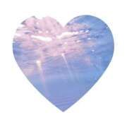 ヒメ日記 2025/12/11 17:09 投稿 かごめ スピードエコ日本橋店