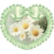 ヒメ日記 2025/12/15 15:19 投稿 かごめ スピードエコ日本橋店