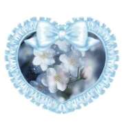 ヒメ日記 2025/12/22 23:29 投稿 かごめ スピードエコ日本橋店