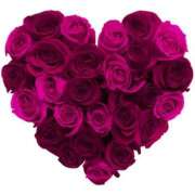 ヒメ日記 2025/12/25 22:49 投稿 かごめ スピードエコ日本橋店