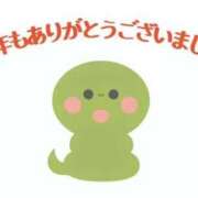 ヒメ日記 2025/12/30 21:20 投稿 かごめ スピードエコ日本橋店