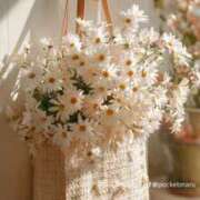 ヒメ日記 2025/10/15 12:48 投稿 綾瀬　なずな ギン妻パラダイス 谷九店