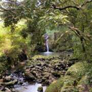 ヒメ日記 2025/10/31 23:56 投稿 理央 CLASSY（クラッシー）.神戸