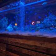 ヒメ日記 2025/11/28 23:49 投稿 九条なつみ ウルトラロイヤル