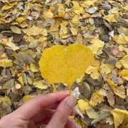 ヒメ日記 2025/11/30 12:08 投稿 九条なつみ ウルトラロイヤル