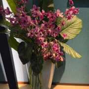 ヒメ日記 2025/11/05 12:11 投稿 莉子(りこ) グランドオペラ横浜