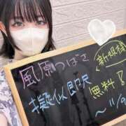 ヒメ日記 2025/10/17 21:14 投稿 風原つばさ デリス新宿