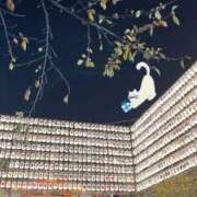 ヒメ日記 2025/11/24 23:44 投稿 風原つばさ デリス新宿