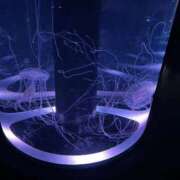 ヒメ日記 2025/11/25 00:07 投稿 まりか One More 奥様　五反田店