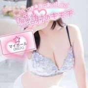 ヒメ日記 2025/12/10 12:01 投稿 まつり 小岩人妻花壇