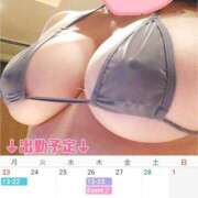 ヒメ日記 2026/02/22 21:30 投稿 まつり 小岩人妻花壇