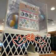 ヒメ日記 2026/09/08 14:19 投稿 七星（ななせ） 人妻城 横浜本店