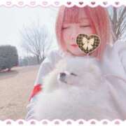 ヒメ日記 2026/01/21 15:39 投稿 ちい 丸妻 横浜本店