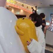 ヒメ日記 2026/01/27 22:30 投稿 ちい 丸妻 横浜本店