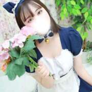 ヒメ日記 2026/04/10 14:21 投稿 のん One More奥様　蒲田店