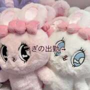 ヒメ日記 2025/10/01 21:48 投稿 星の光 メルビス＆アトリアーナ