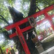 ひなみ 新年 熟女の風俗最終章 高崎店