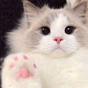 ヒメ日記 2025/11/09 18:48 投稿 真田 みやび バルボラ マリン