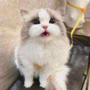 ヒメ日記 2025/11/11 05:37 投稿 真田 みやび バルボラ マリン