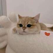 ヒメ日記 2025/11/14 23:19 投稿 真田 みやび バルボラ マリン