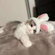 ヒメ日記 2025/11/15 21:11 投稿 真田 みやび バルボラ マリン