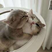 ヒメ日記 2025/11/22 15:19 投稿 真田 みやび バルボラ マリン