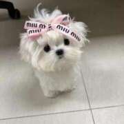 ヒメ日記 2025/11/24 07:37 投稿 真田 みやび バルボラ マリン