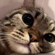 ヒメ日記 2025/11/26 22:50 投稿 真田 みやび バルボラ マリン