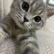 ヒメ日記 2025/12/01 17:18 投稿 真田 みやび バルボラ マリン