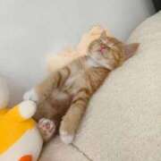 真田 みやび 夜お知らせあるよ- ̗̀📣 バルボラ マリン