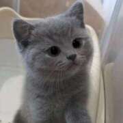 真田 みやび 決まりっ‼️ バルボラ マリン