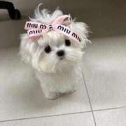 ヒメ日記 2025/12/14 16:07 投稿 真田 みやび バルボラ マリン