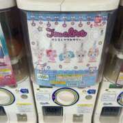 観月　華 見つけたら誰か教えて！ 雫(しずく)