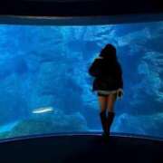 ヒメ日記 2025/11/28 16:52 投稿 わたあめ 密着指導！バカンス学園 尼崎校